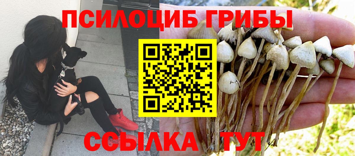 Алексин  Галлюциногенные грибы прущие грибы  Вход с VPN 