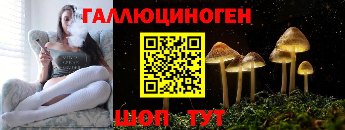 Псилоцибиновые грибы MAGIC MUSHROOMS Алексин